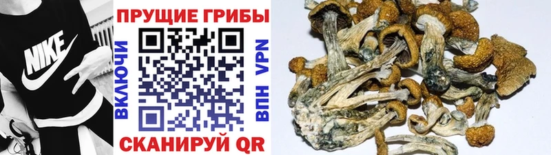 Галлюциногенные грибы мухоморы  блэк спрут ссылки  Шлиссельбург 